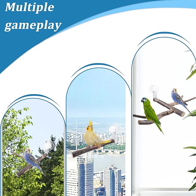 Bird Perch with Suction Cup Window Wall Bath Car Outdoor Travel Perch Stand - Image 4