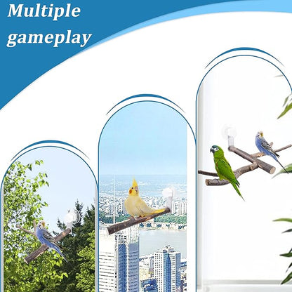 Bird Perch with Suction Cup Window Wall Bath Car Outdoor Travel Perch Stand - Image 4