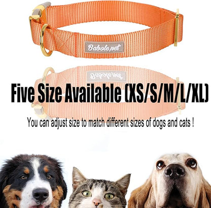 Nylon Dog Collar - Image 8