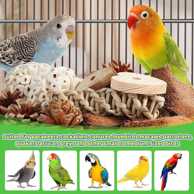Kyouki Bird Toys Parrot Natural Bird Foraging Box Foot Toys - Image 6