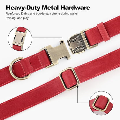 Plutus Pet Genuine Leather Dog Collar – Adjustable Pet Collar - Image 5
