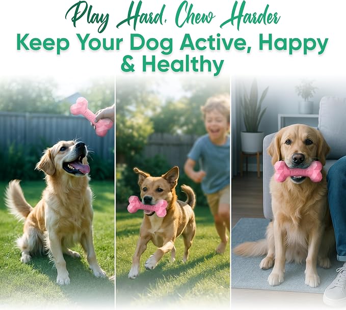 Natural Rubber Dog Chew Bone – Treat-Dispensing, Tough & Indestructible Chew - Image 7