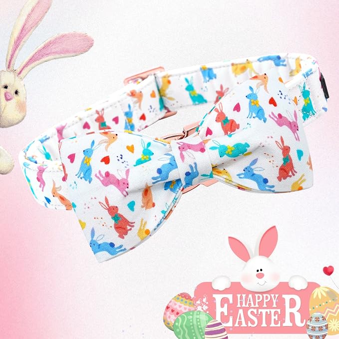 Lionheart glory Easter Dog Collar - Image 3