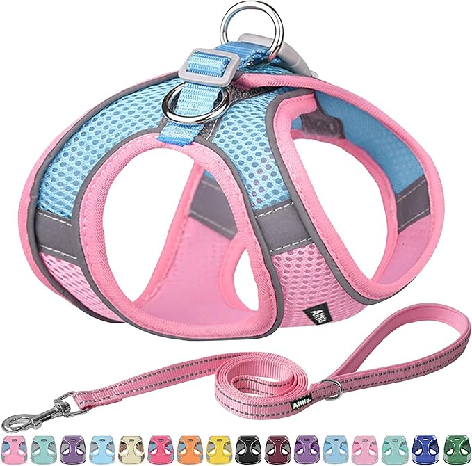 AIITLE Step in Dog Harness and Leash Set by AIITLE-FORPETSBETTERLIFE