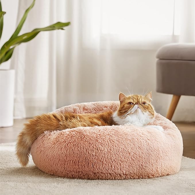 Bedsure Calming Cat Beds for Indoor Cats - Image 6