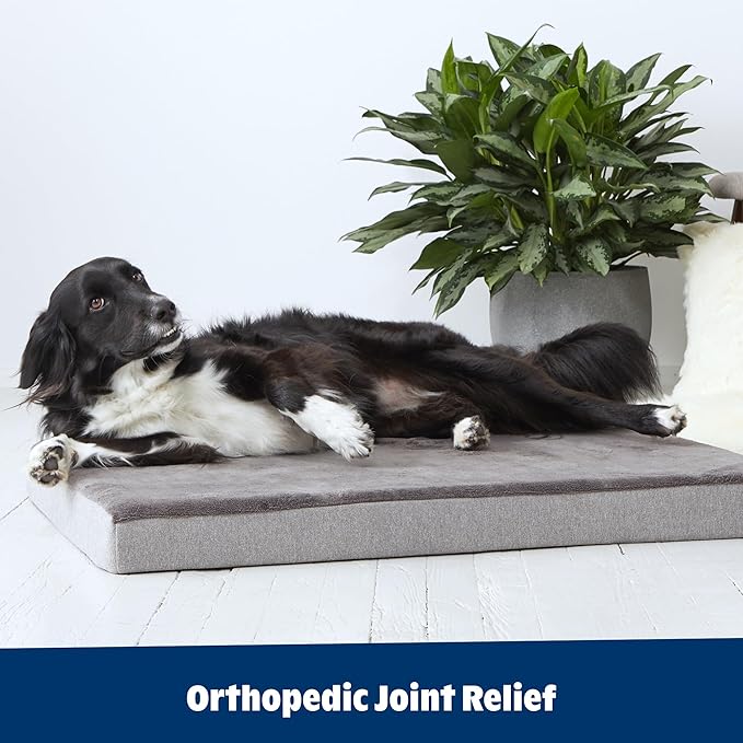 Barkbox Orthopedic Dog Bed - Image 6