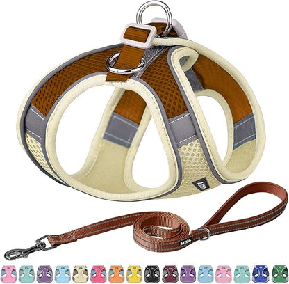 AIITLE Easy Walk Dog Harness and Leash Set by AIITLE-FORPETSBETTERLIFE
