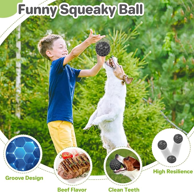 Interactive Squeaky Dog Balls, Dog Toys - Image 4