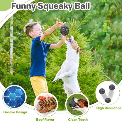 Interactive Squeaky Dog Balls, Dog Toys - Image 4