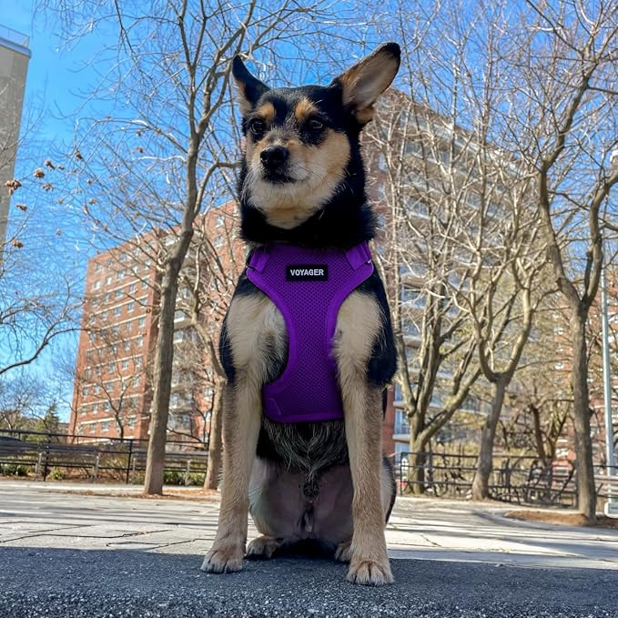 Voyager Step-in Pet Harness - Image 8