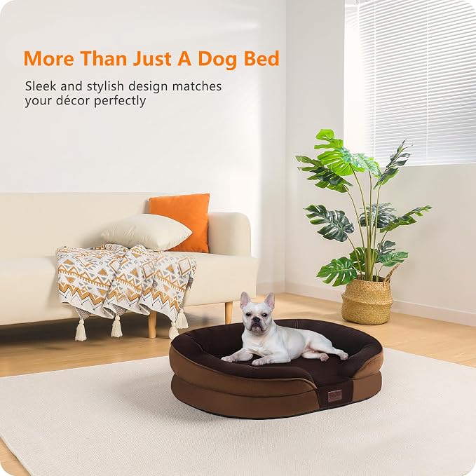 Dwanton Orthopedic Dog Bed for Medium Dogs - Image 2