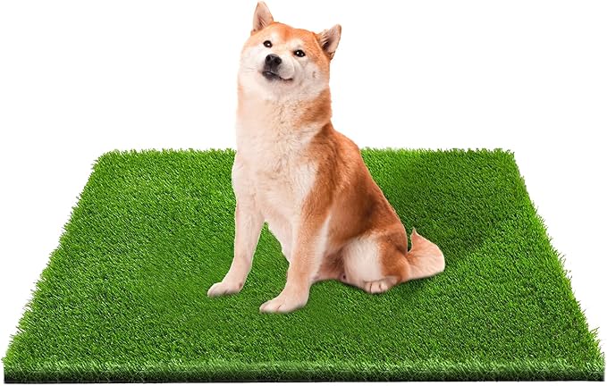 Artificial Grass, Professional Dog Grass Mat, Potty Training Rug and by CooZero