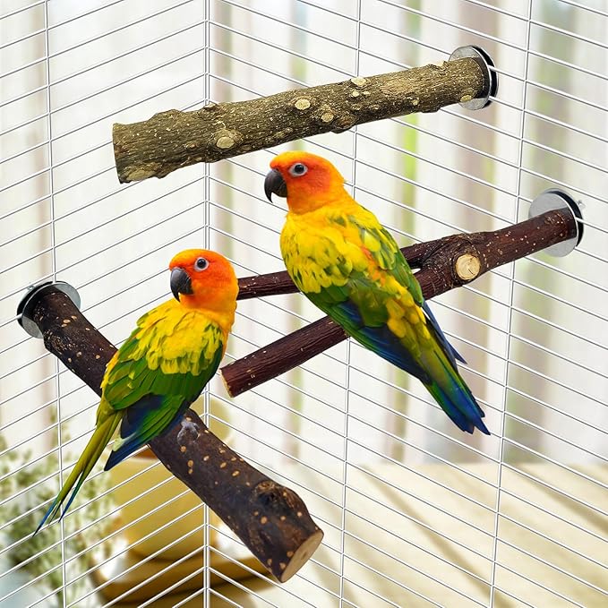 BNOSDM 5PCS Bird Mirror with Perches Stand Parrot Natural Wood Stick Perches - Image 6