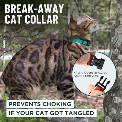 OutdoorBengal Black Breakaway Kitten Collar - Image 2