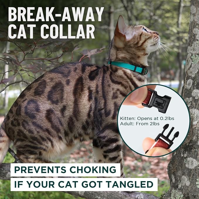 OutdoorBengal Durable Cat Collar Breakaway - Image 2