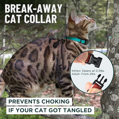 OutdoorBengal Red Breakaway Kitten Collar - Image 2