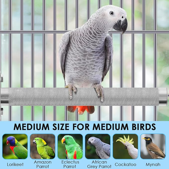 KATUMO Parrot Perch - Image 6