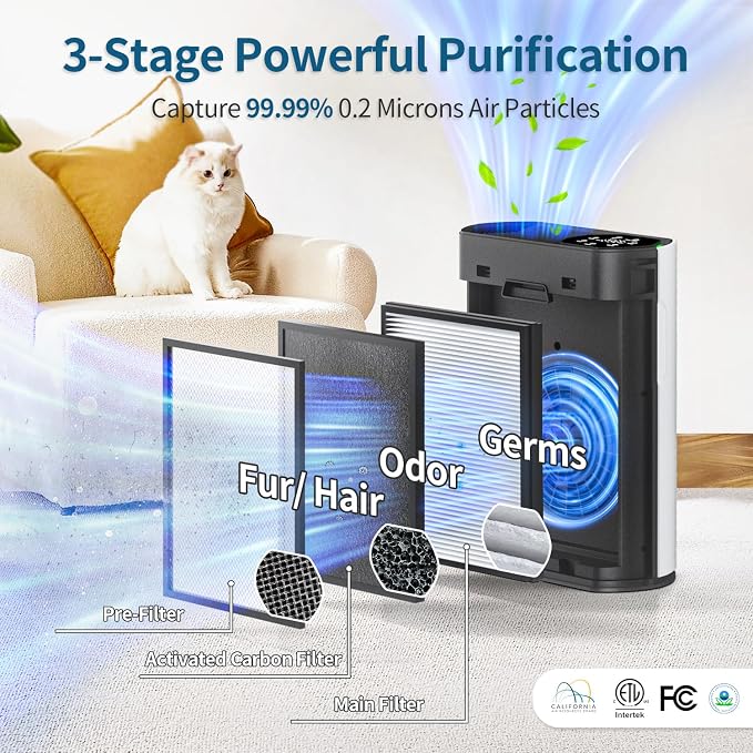 Air Purifier for Large Room, Cleans 2, 400 ft² in 30 Mins, 3-Stage True HEPA - Image 3