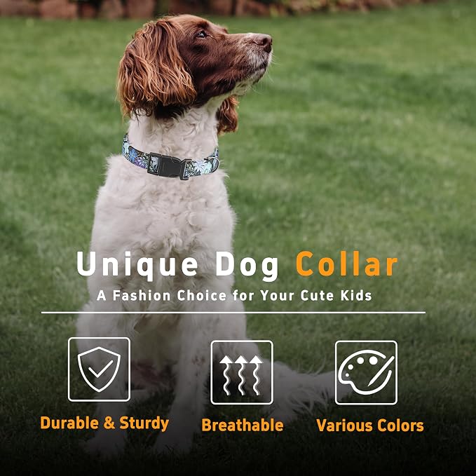 Dog Collar for Boys & Girls, Puppy Collar for Small to Large Dogs, Adjustable - Image 5