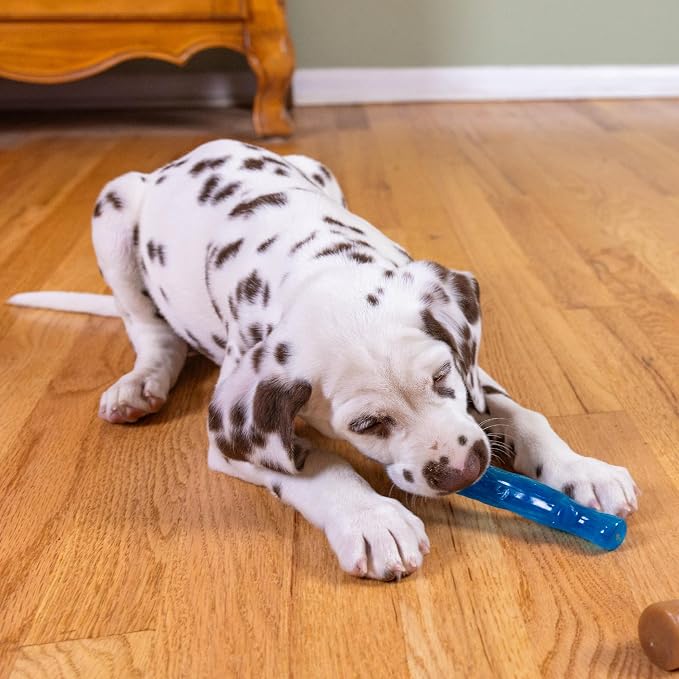 Outward Hound Dogwood Puppy Durable Dog Chew Toys, Real Wood & Teething Bone - Image 8
