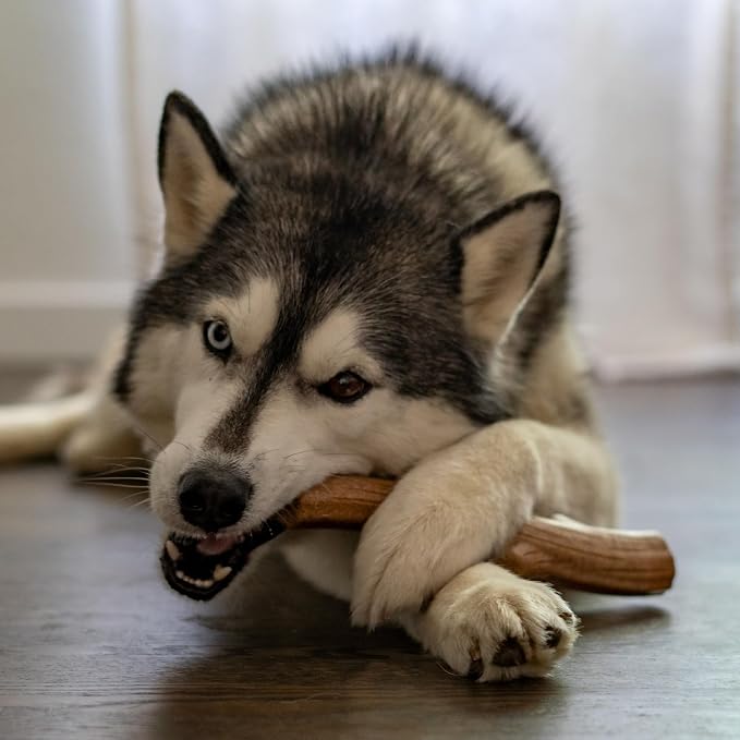 Petstages Outward Hound Super Dogwood Durable Dog Chew Toy, Medium - Image 9