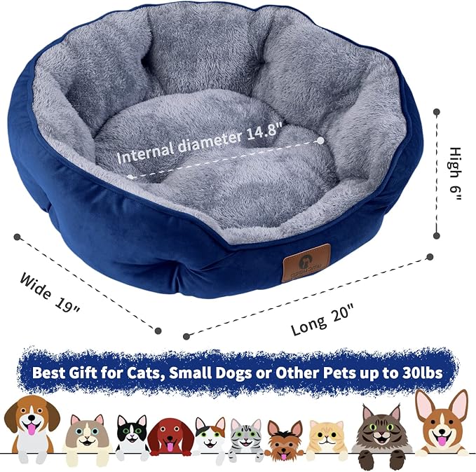 Asvin Small Dog Bed for Small Dogs, Cat Beds for Indoor Cats, Pet Bed for Puppy - Image 3