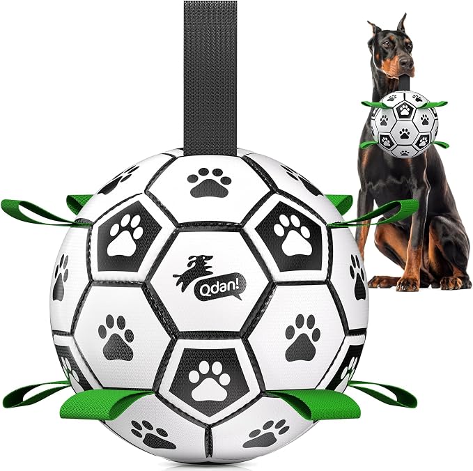 QDAN 10 Inch Gaint Dog Soccer Ball by QDAN