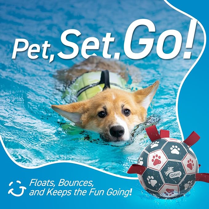 QDAN Dog Balls, World Cup Soccer Ball - Image 6