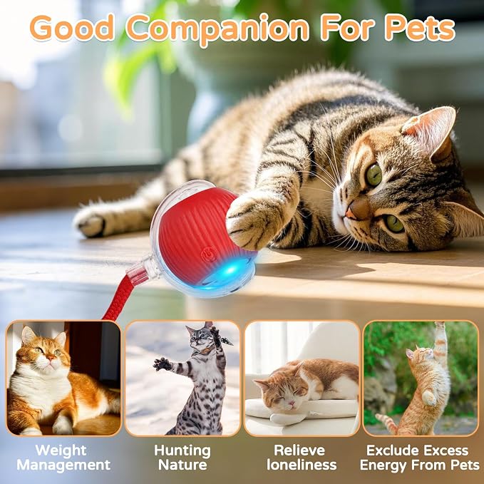 2025 New 2Pack Cat Ball Kitten Toys - Image 8