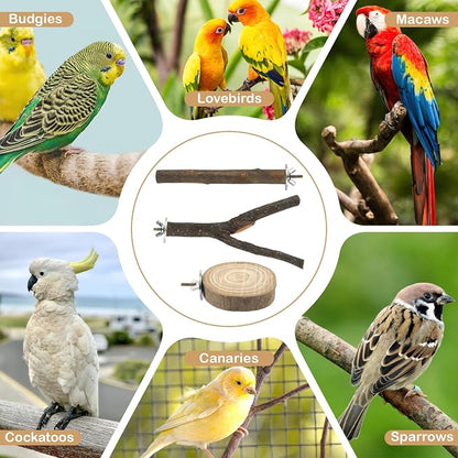 8 PCS Bird Perches for Cage, Natural Wood Parrot Perch Stand, Birds Cage - Image 7