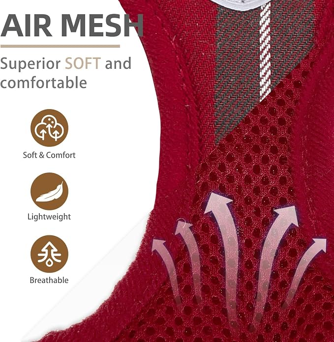 PUPTECK Adjustable Dog Harness Collar and Leash Set Step in No Pull Pet Harness - Image 2