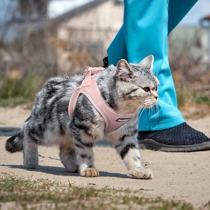 PetiFine Extra Small Step in Dog Harness and Leash Set, Cat Harness and Leash - Image 7