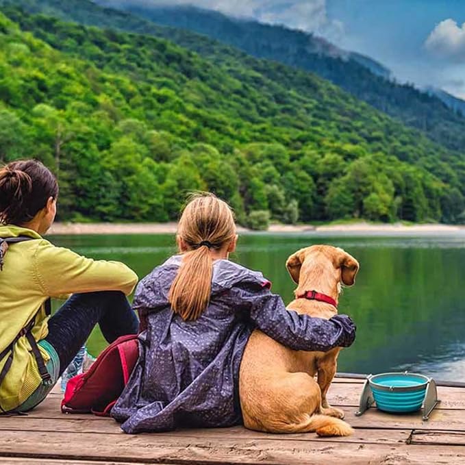 Loving Pets - Bella Roma Portable Travel Dog Bowl Collapsible Dog Food & Water - Image 6