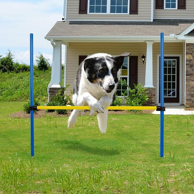 Pet Prime Dog Agility Training Equipment - Image 5
