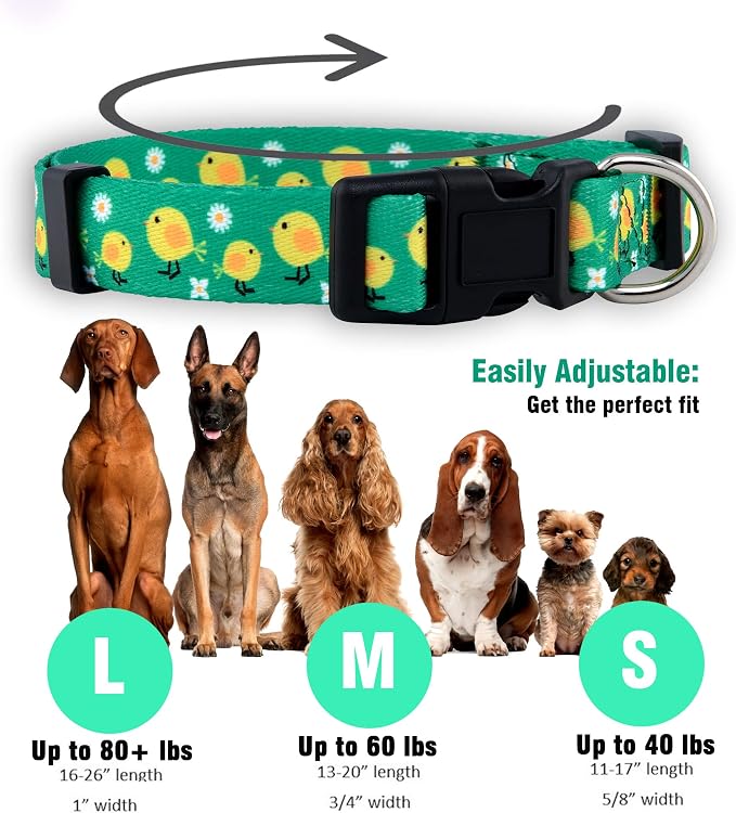 Native Pup Easter Dog Collar, Cute Spring Gift - Image 3