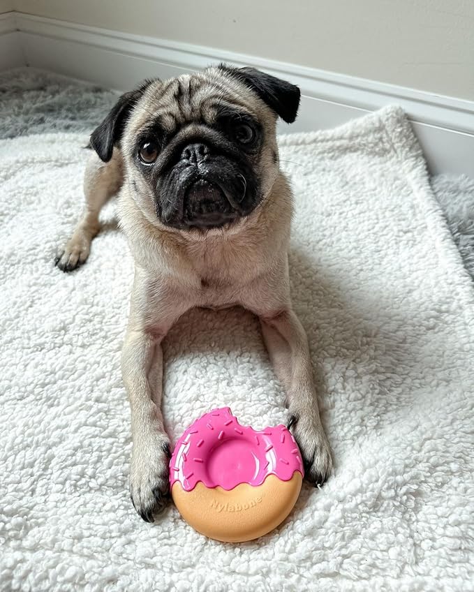Nylabone Donut Power Chew Toy for Dogs, Dog Toys for Aggressive Chewers - Image 8