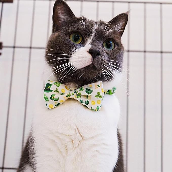 2 Pack St. Patrick's Day Irish Cat Collar - Image 6