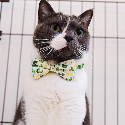 2 Pack St. Patrick's Day Irish Cat Collar - Image 6