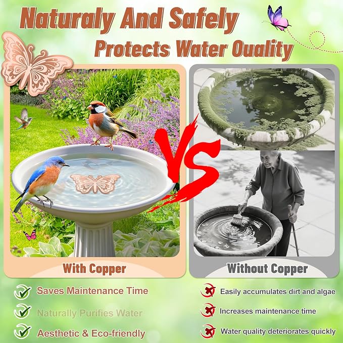 2Pcs Bird Bath Copper Disk, 0.6mm Reinforced 99.9% Pure Copper Cleaning Disk - Image 3