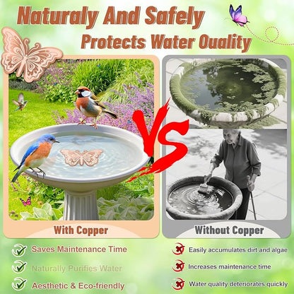 2Pcs Bird Bath Copper Disk, 0.6mm Reinforced 99.9% Pure Copper Cleaning Disk - Image 3