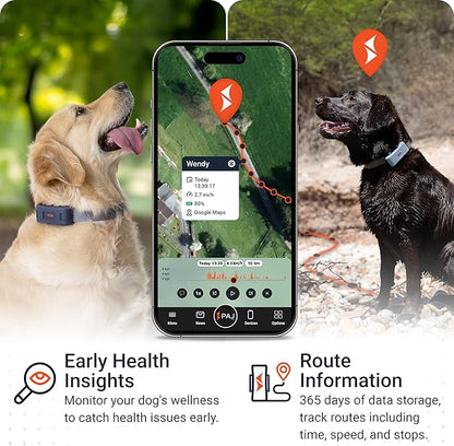 PAJ GPS Tracker for Dogs - 4G GPS Collar Tag - Waterproof & Up to 10 Days - Image 3