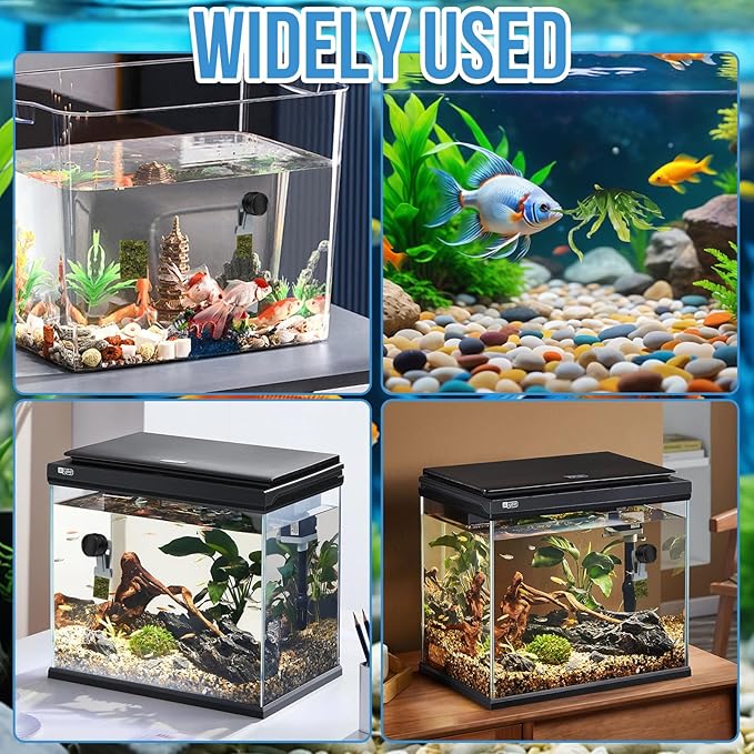 Magnetic Seaweed Feeder Clip, Saltwater Fish Aquarium Accessories Supplies - Image 7