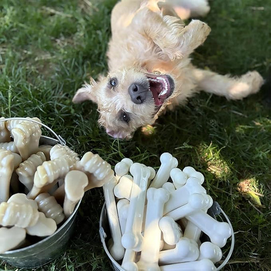 Nylabone Original Bone Power Chew Toy - Image 2