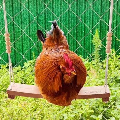 Arc-Shaped Chicken Swing Heavy Beech Wood Chicken Toys - Image 6