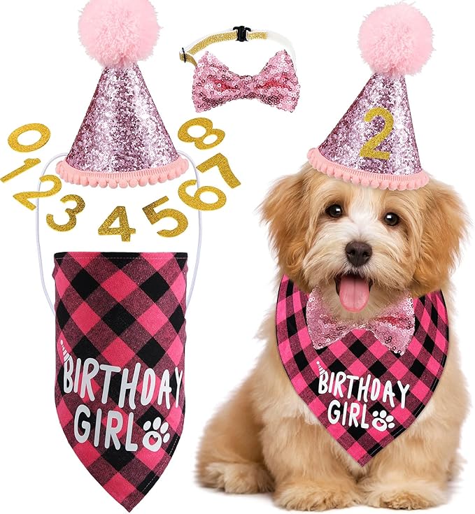Weewooday Dog Birthday Party Supplies Birthday Boy Girl Cake Bandana Triangle by Weewooday