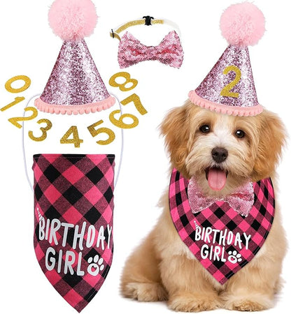 Weewooday Dog Birthday Party Supplies Birthday Boy Girl Cake Bandana Triangle by Weewooday
