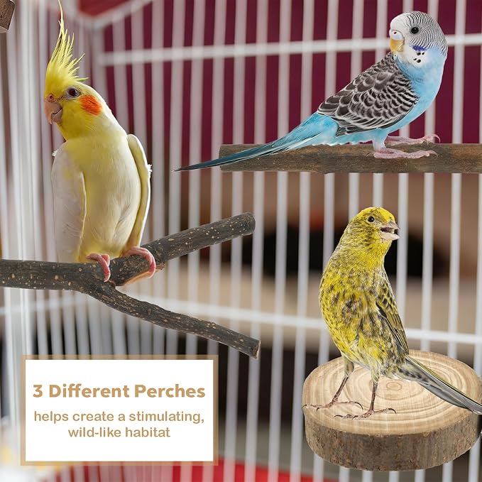 8 PCS Bird Perches for Cage, Natural Wood Parrot Perch Stand, Birds Cage - Image 5