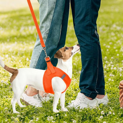 PUPTECK Adjustable Dog Harness Collar and Leash Set Step in No Pull Pet Harness - Image 7