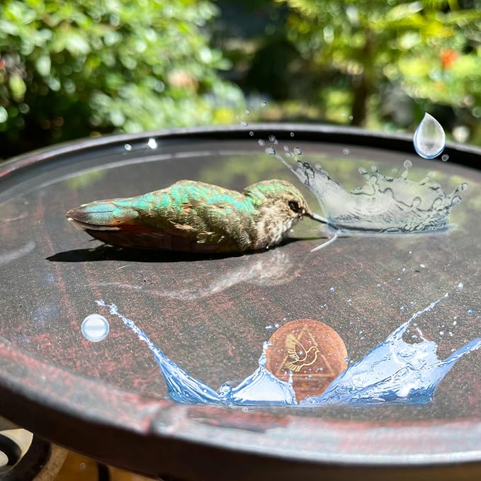 Bird Bath Purification Disk, 99.99% Copper Disc - Image 6