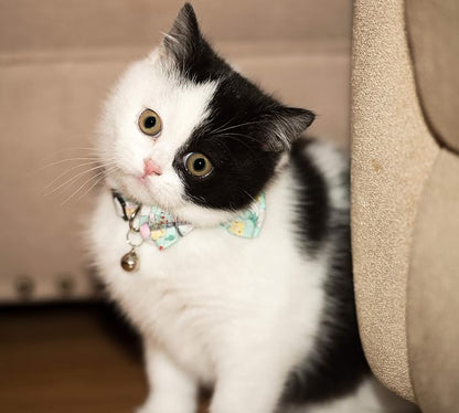 Collar for Cat Pet Breakaway - Image 4